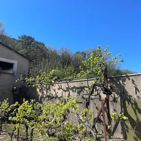 Propriété De Charme Avec Piscine - Les Cévennes