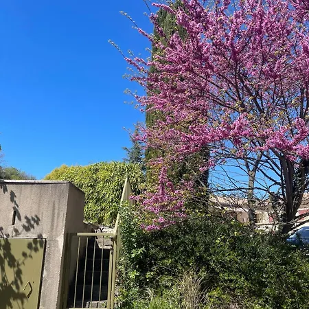 Propriete De Charme Avec Piscine - Les Cevennes Villa *